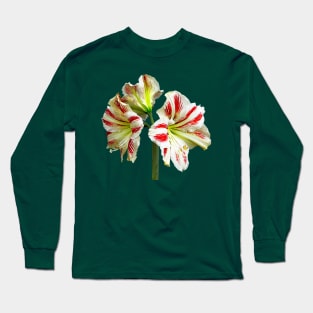 Amaryllis Sydney Long Sleeve T-Shirt